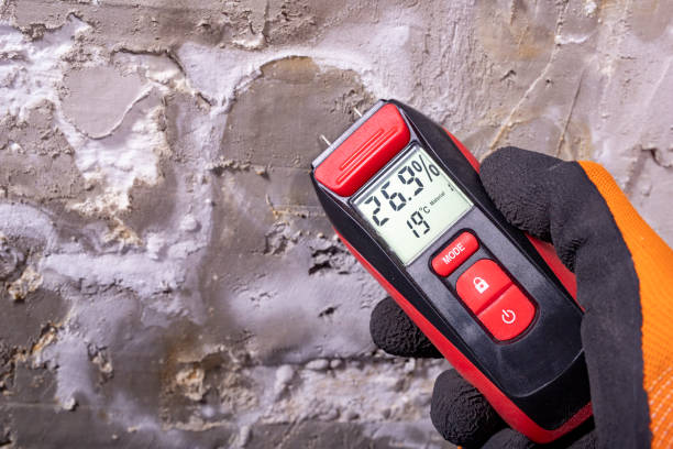 Best Crawl Space Mold Removal  in Dunbar, SC