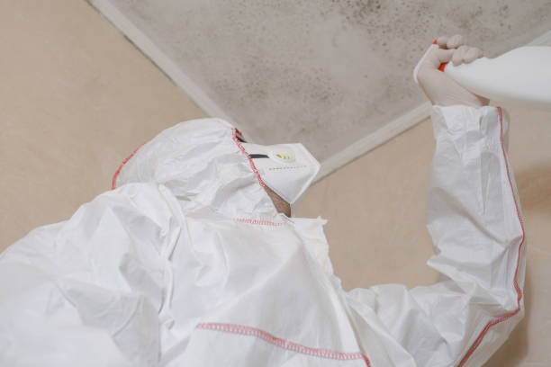 Best Residential Mold Removal  in Dunbar, SC