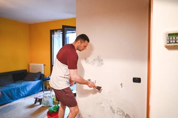 Best Certified Mold Removal  in Dunbar, SC